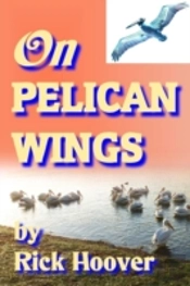 On Pelican Wings