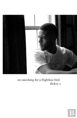 Bertrand.pt - On Searching For A Flightless Bird