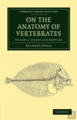 Bertrand.pt - On The Anatomy Of Vertebrates