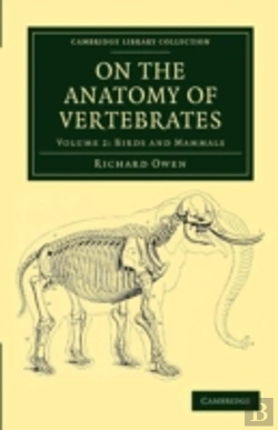 Bertrand.pt - On The Anatomy Of Vertebrates