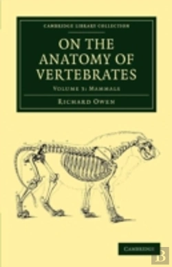 Bertrand.pt - On The Anatomy Of Vertebrates
