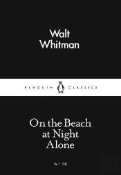 On The Beach At Night Alone