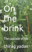 On The Brink