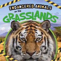 On The Grasslands