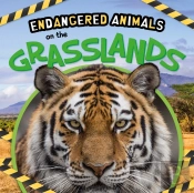 On The Grasslands