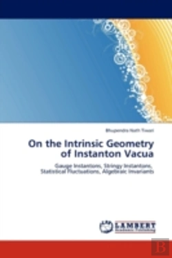 Bertrand.pt - On The Intrinsic Geometry Of Instanton Vacua
