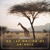 On The Motion Of Animals