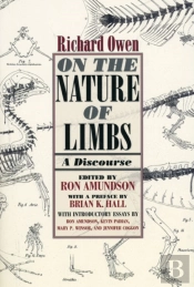 On The Nature Of Limbs