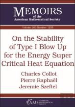 On The Stability Of Type I Blow Up For The Energy Super Critical Heat Equation