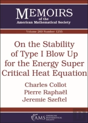 On The Stability Of Type I Blow Up For The Energy Super Critical Heat Equation