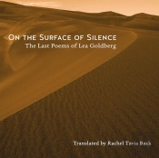 On The Surface Of Silence