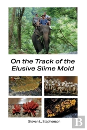 On The Track Of The Elusive Slime Mold
