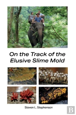 Bertrand.pt - On The Track Of The Elusive Slime Mold