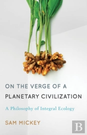 On The Verge Of A Planetary Civilization
