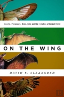 Bertrand.pt - On The Wing
