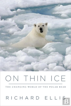 Bertrand.pt - On Thin Ice