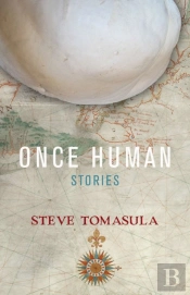 Once Human
