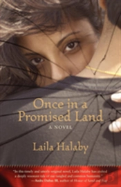 Once In A Promised Land