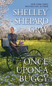 Once Upon A Buggy