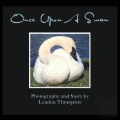 Once Upon A Swan