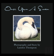 Once Upon A Swan