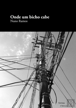 Bertrand.pt - Onde Um Bicho Cabe
