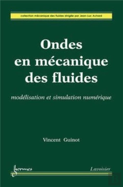Bertrand.pt - Ondes En Mécanique Des Fluides : Modélisation Et Simulation Numérique