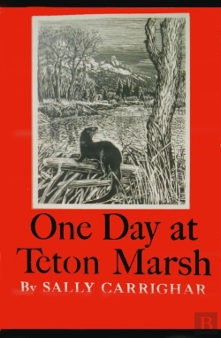 Bertrand.pt - One Day At Teton Marsh