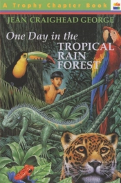 One Day In The Tropical Rain Forest