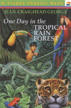 Bertrand.pt - One Day In The Tropical Rain Forest