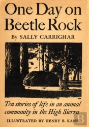 One Day On Beetle Rock
