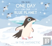 One Day On Our Blue Planet Â€¦In The Antarctic