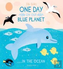 One Day On Our Blue Planet ...In The Ocean