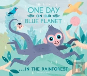 One Day On Our Blue Planet ...In The Rainforest