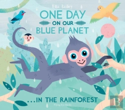 Bertrand.pt - One Day On Our Blue Planet ...In The Rainforest