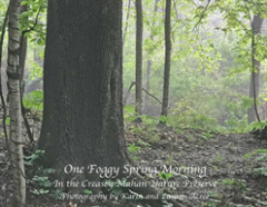 One Foggy Morning In Spring