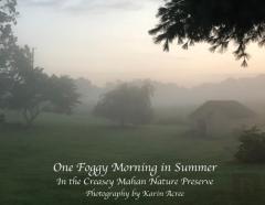 One Foggy Morning In Summer