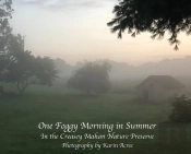 One Foggy Morning In Summer