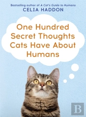 One Hundred Secret Thoughts Cats Have About Humans