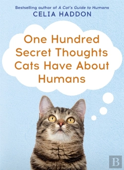 Bertrand.pt - One Hundred Secret Thoughts Cats Have About Humans