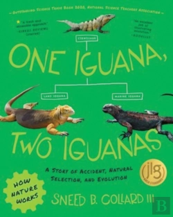 Bertrand.pt - One Iguana, Two Iguanas