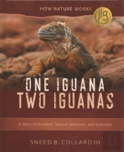 One Iguana, Two Iguanas