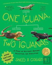 One Iguana, Two Iguanas