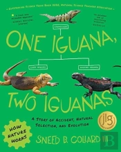 One Iguana, Two Iguanas