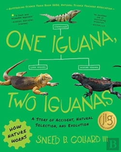 Bertrand.pt - One Iguana, Two Iguanas