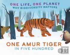 One Life, One Planet: One Amur Tiger In Five Hundred