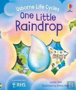Bertrand.pt - One Little Raindrop