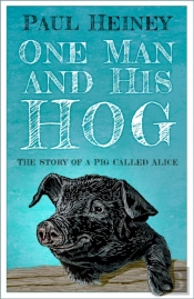 One Man And His Hog