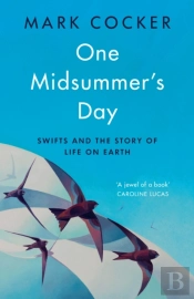 One Midsummer'S Day