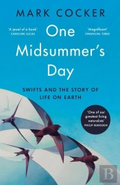 One Midsummer'S Day